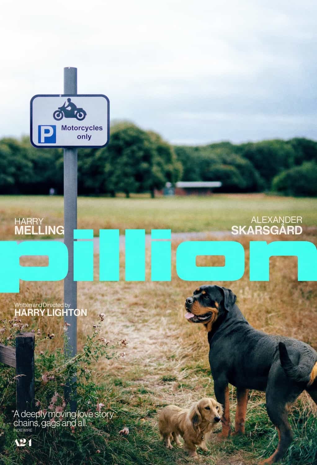 Pillion