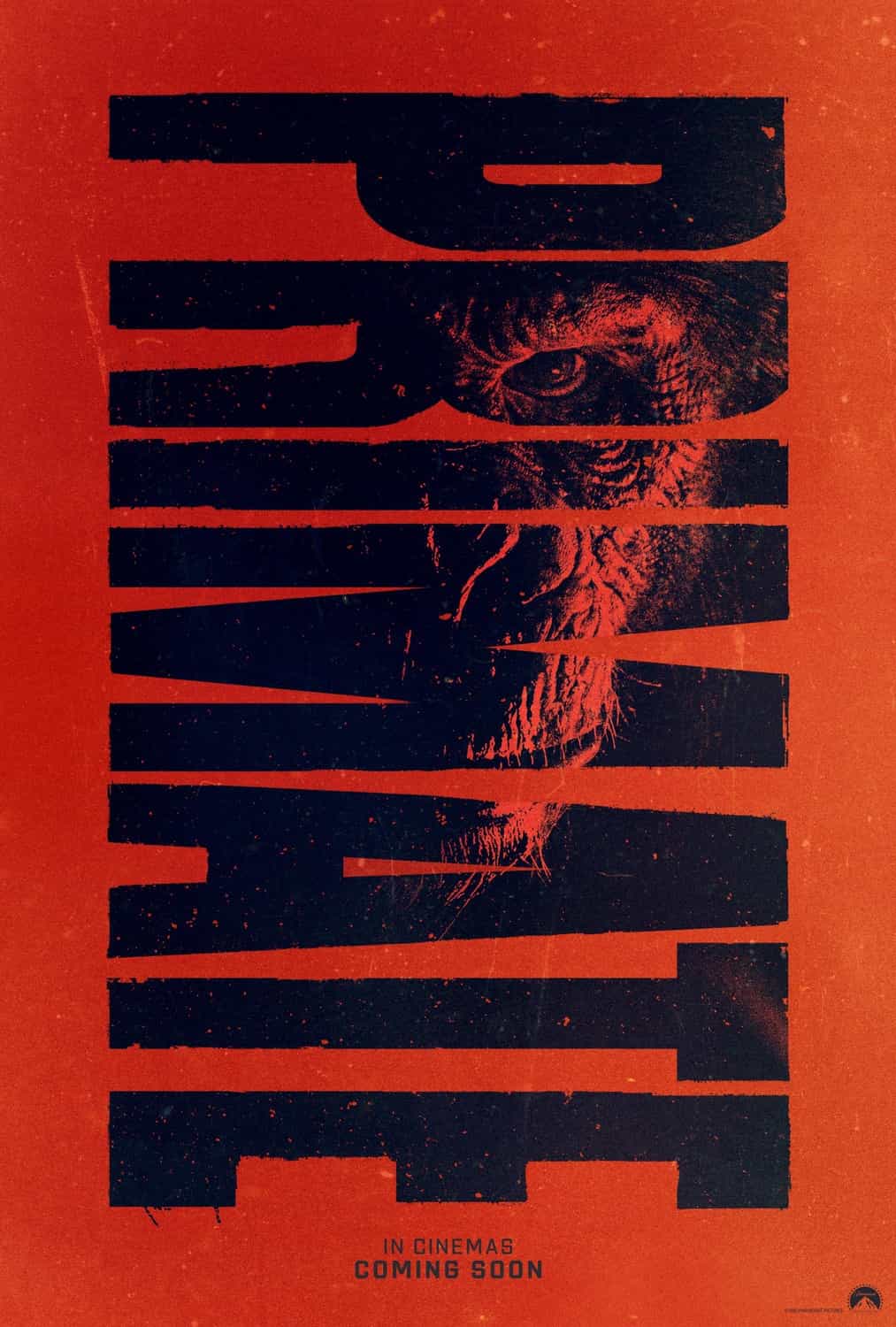 Primate