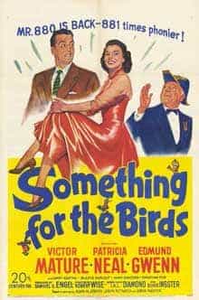 Something For the Birds